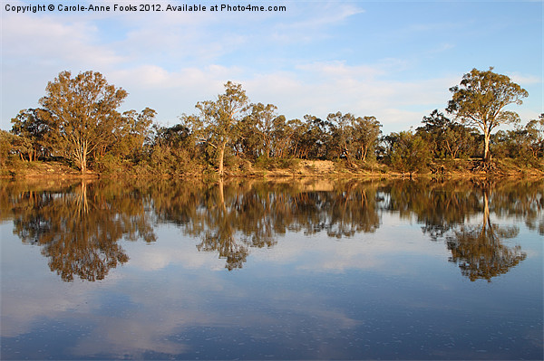 River Murray Reflections Picture Board by Carole-Anne Fooks