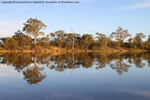 River Murray Reflections Picture Board by Carole-Anne Fooks