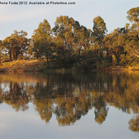 Buy canvas prints of River Murray Reflections by Carole-Anne Fooks