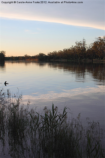 Murray River Sunset Series 1 Picture Board by Carole-Anne Fooks