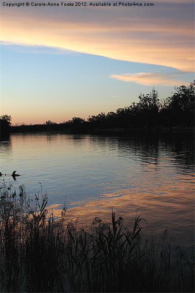 Murray River Sunset Series 1 Picture Board by Carole-Anne Fooks