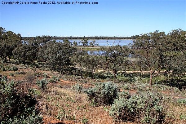 King's Billabong Mildura, Australia Picture Board by Carole-Anne Fooks