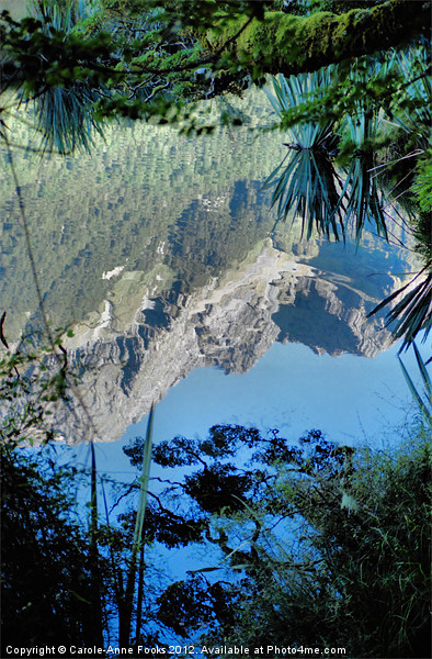 Mirror Lake Two New Zealand Picture Board by Carole-Anne Fooks