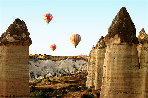 Ballooning In The Valley of Love Picture Board by Carole-Anne Fooks