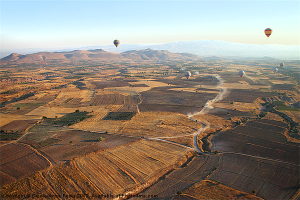 Hot Air Ballooning Goreme Turkey Picture Board by Carole-Anne Fooks
