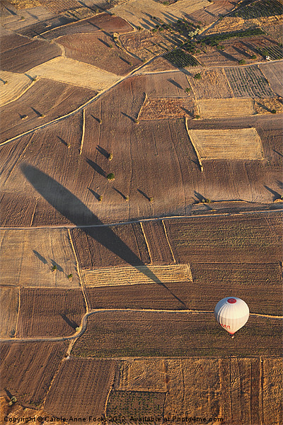 Hot Air Ballooning over Goreme Picture Board by Carole-Anne Fooks