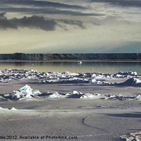 Buy canvas prints of Iceberg in the Ross Sea Antarctica by Carole-Anne Fooks
