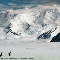 Buy canvas prints of Cape Hallett Antarctica by Carole-Anne Fooks