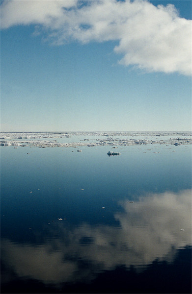 Ross Sea Antarctica Picture Board by Carole-Anne Fooks