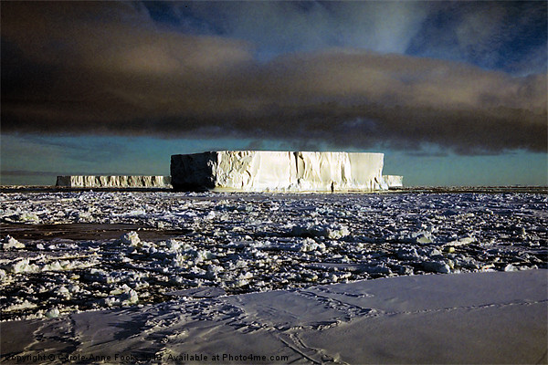 Icebergs Ross Sea Antarctica Picture Board by Carole-Anne Fooks