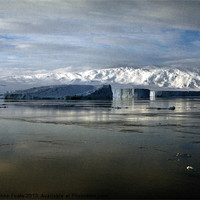Buy canvas prints of Icebergs & The Transantarctic Range by Carole-Anne Fooks
