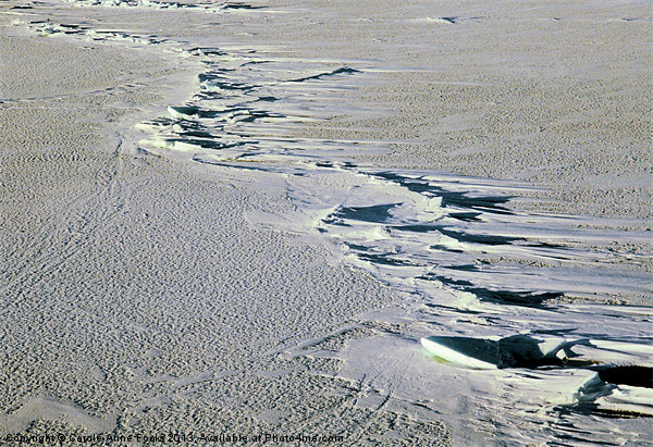 Pressure Ridges Antarctica Picture Board by Carole-Anne Fooks