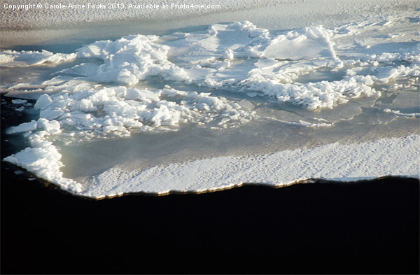 Sea Ice Antarctica Picture Board by Carole-Anne Fooks