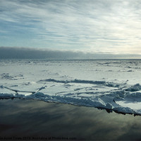 Buy canvas prints of Sea Ice Antarctica by Carole-Anne Fooks