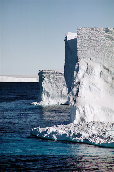 Drygalski Ice Tongue Ross Sea Antarctica Picture Board by Carole-Anne Fooks