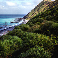Buy canvas prints of Macquarie Island by Carole-Anne Fooks