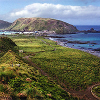 Buy canvas prints of Macquarie Island and The Research Station by Carole-Anne Fooks