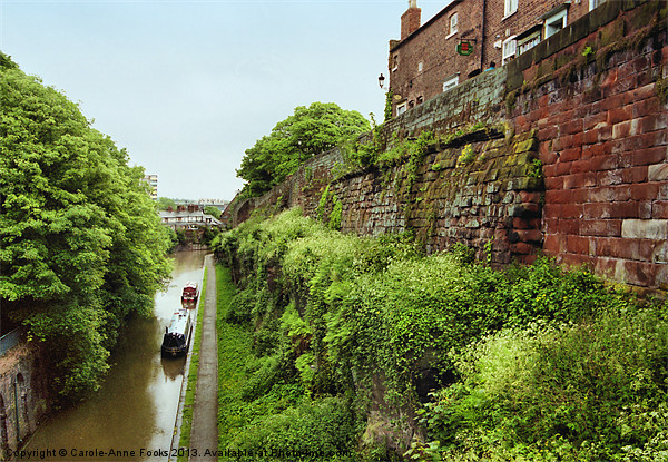Chester City Walls and Canal Picture Board by Carole-Anne Fooks