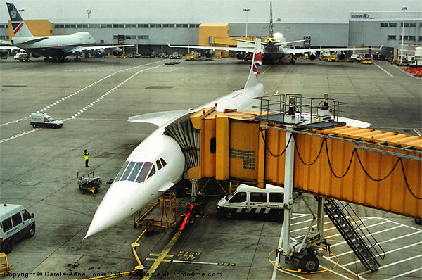 Concorde at Heathrow London Picture Board by Carole-Anne Fooks