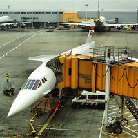 Buy canvas prints of Concorde at Heathrow London by Carole-Anne Fooks