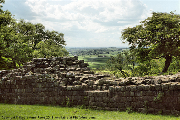 Hadrians Wall England Picture Board by Carole-Anne Fooks