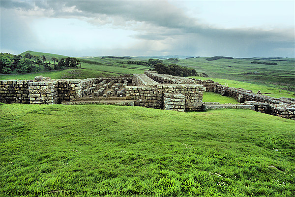 Fort Ruins Along Hadrians Wall Picture Board by Carole-Anne Fooks