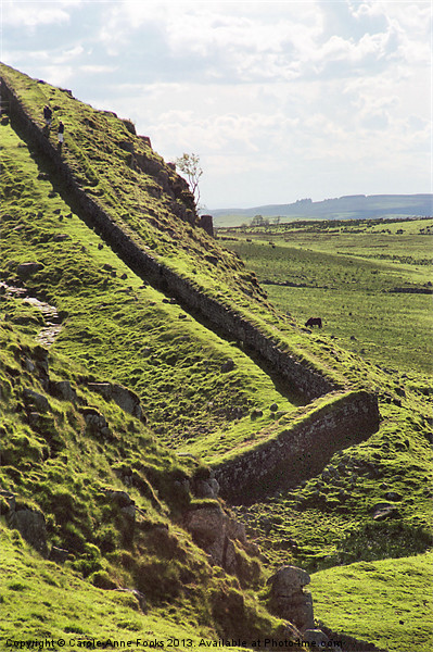 Hadrians Wall Climbing Across The Landscape Picture Board by Carole-Anne Fooks
