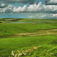 Buy canvas prints of Hadrians Wall In The Landscape by Carole-Anne Fooks