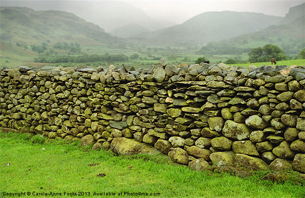 Dry Stone Wall Keswick Picture Board by Carole-Anne Fooks