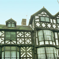 Buy canvas prints of Ludlow Half Timbered Tudor Building by Carole-Anne Fooks