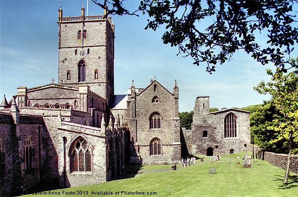Saint Davids Cathedral Pembrokeshire Wales Picture Board by Carole-Anne Fooks