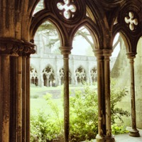Buy canvas prints of Salisbury Cathedral Cloisters by Carole-Anne Fooks
