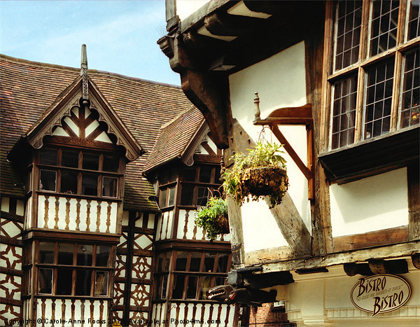 House Details Shrewsbury Picture Board by Carole-Anne Fooks