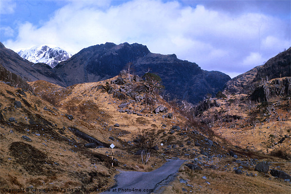 Glen Nevis Scotland Picture Board by Carole-Anne Fooks