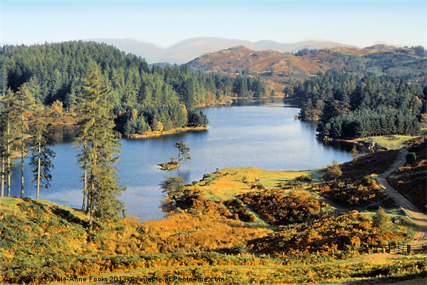 Tarn Hows The Lakes District Picture Board by Carole-Anne Fooks