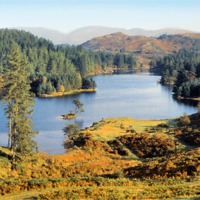 Buy canvas prints of Tarn Hows The Lakes District by Carole-Anne Fooks