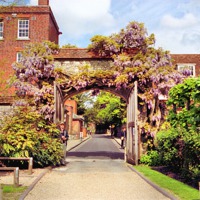 Buy canvas prints of Wisteria Bower Winchester by Carole-Anne Fooks