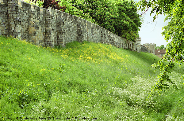Roman Medieval Walls York Picture Board by Carole-Anne Fooks