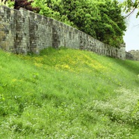 Buy canvas prints of Roman Medieval Walls York by Carole-Anne Fooks