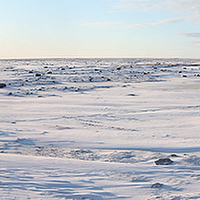 Buy canvas prints of Tundra Panorama Canada by Carole-Anne Fooks
