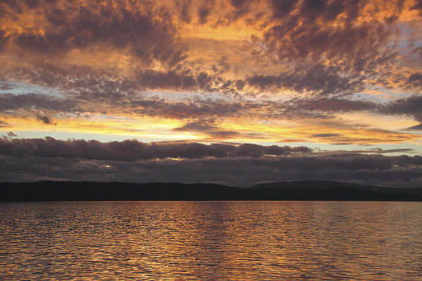 Sunset on the Beagle Channel Picture Board by Carole-Anne Fooks