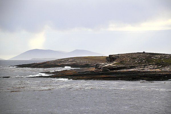 Approaching Carcass Island in The Falklands Picture Board by Carole-Anne Fooks