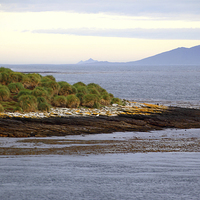 Buy canvas prints of Approaching Carcass Island in The Falklands by Carole-Anne Fooks