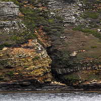 Buy canvas prints of Carcass Island Coastal Formations by Carole-Anne Fooks