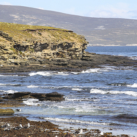 Buy canvas prints of Carcass Island in The Falklands by Carole-Anne Fooks