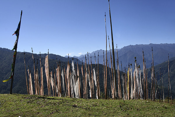 Prayer Flags in the Eastern Himalaya Picture Board by Carole-Anne Fooks