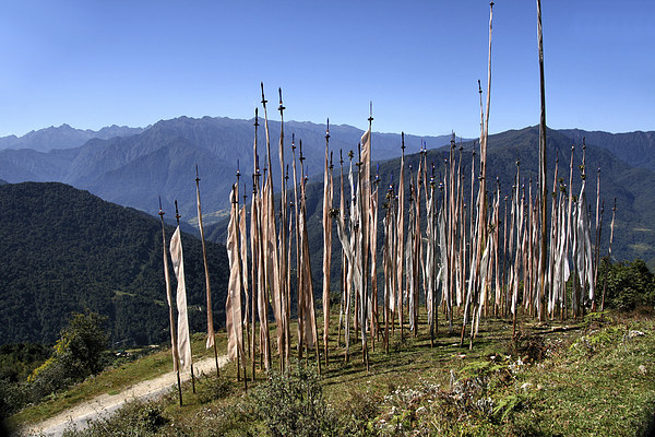 Prayer Flags in the Eastern Himalaya Picture Board by Carole-Anne Fooks