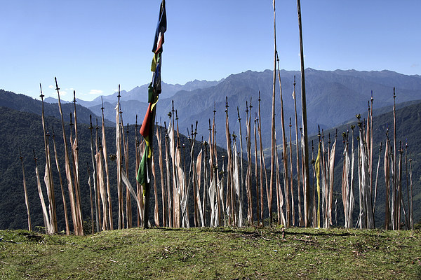 Prayer Flags in the Eastern Himalaya Picture Board by Carole-Anne Fooks