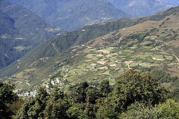 Agricultural Patchwork in the Eastern Himalaya Picture Board by Carole-Anne Fooks