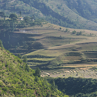 Buy canvas prints of Terraces in the High Valleys, Bhutan by Carole-Anne Fooks